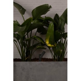 Projecteur sur piquet LED SPY - 14cm - Gris foncé - FARO